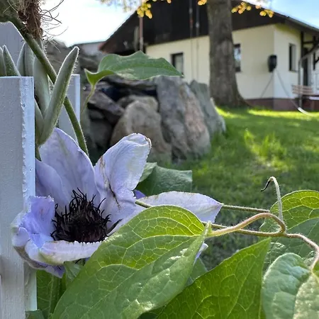 Am Nussbaum Olbersdorf