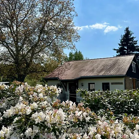 Am Nussbaum * Olbersdorf